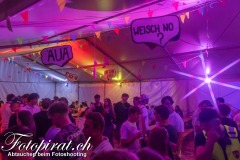Aarefest-Uttigen-Bern-7787