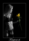 Blumen Dessous Fotoshooting im Fotostudio