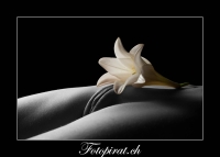 Erotic-Flower-Bodypart-Labien-erotisches-Fotoshooting-Zürich-DSC_2149