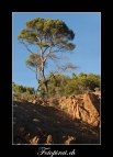 Fineart-Nude-Akt-Outdoor-Shooting-Cote-Dazure-Saint-Tropez-Sucherbild