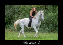 Pferde-Fotoshooting-Schweiz-kostenlos-Models-gesuchtMK6_4241