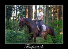 Pferde-Fotoshooting-Schweiz-kostenlos-Models-gesuchtMK6_9156