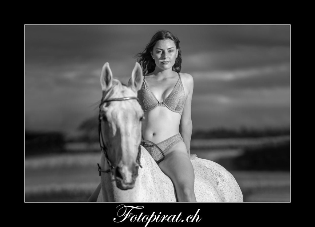 Dessous Pferde Fotoshooting in schwarz / weiss