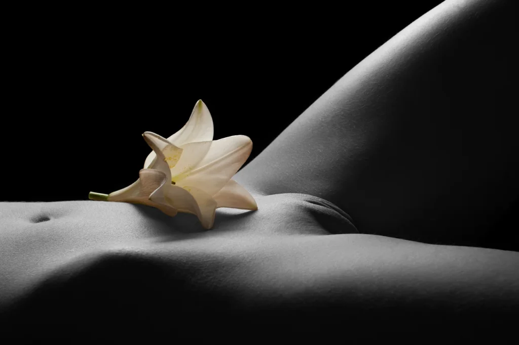 Weisse EillyRosia Cala Lilie liegt auf einem rasierten Venushügel bei einem Color Key. Low Key Fotoshooting im Fotostudio.